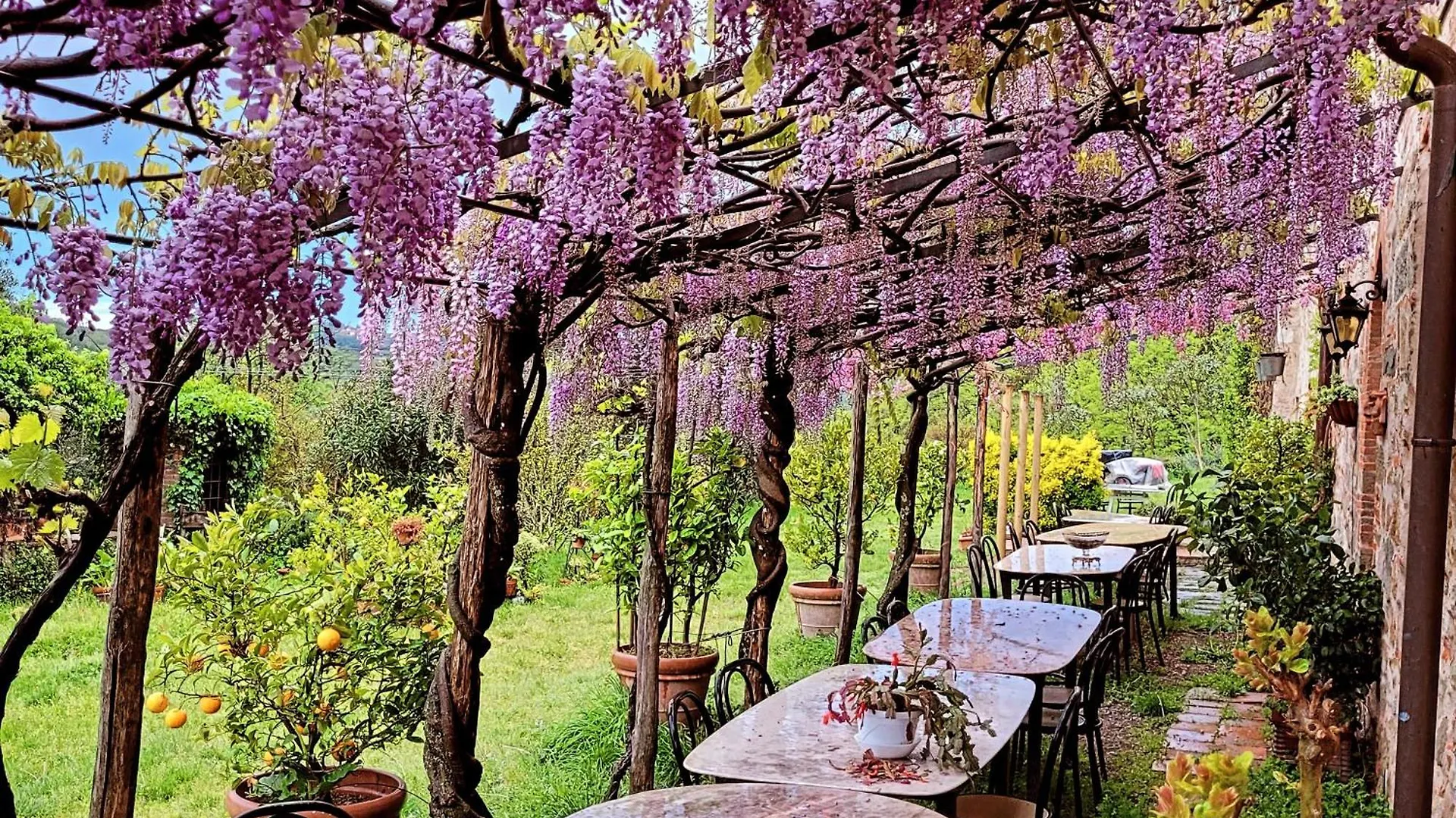 Agriturismo I Pitti Serravalle Pistoiese Κατάλυμα σε φάρμα