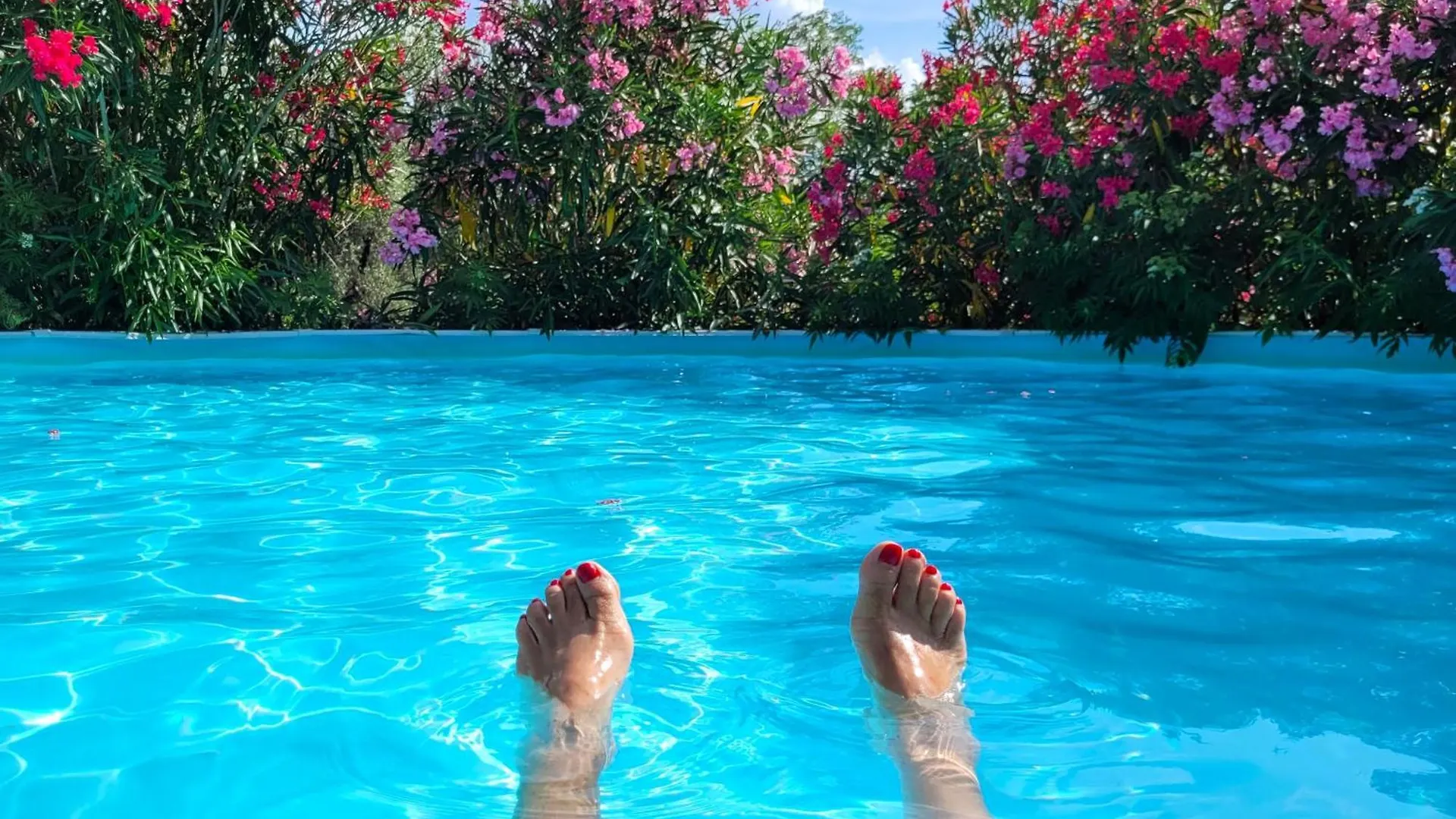 Κατάλυμα σε φάρμα Agriturismo I Pitti Serravalle Pistoiese Ιταλία