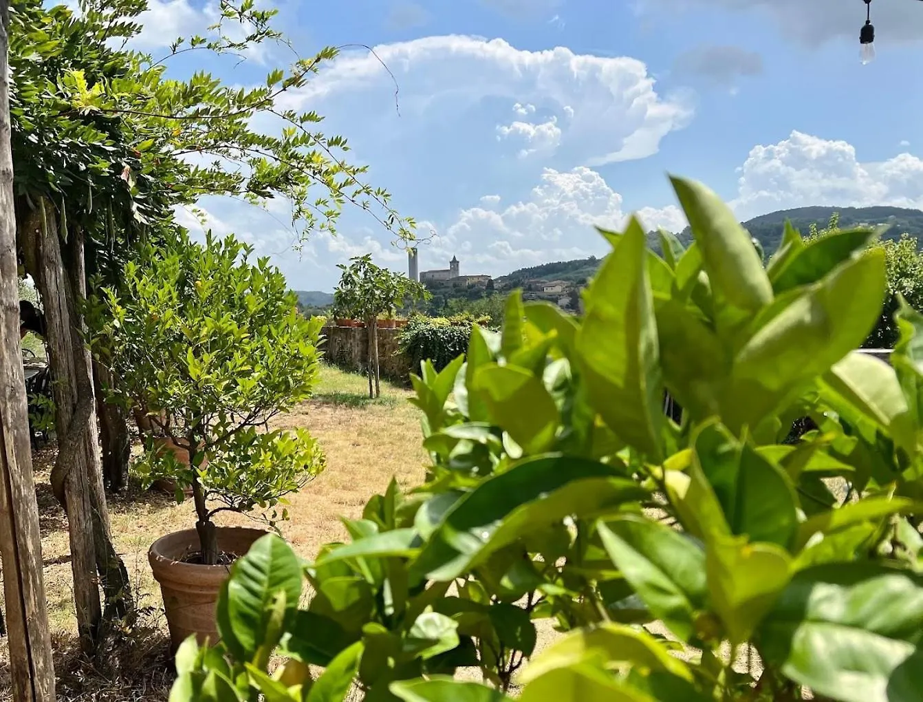 Κατάλυμα σε φάρμα Agriturismo I Pitti Serravalle Pistoiese